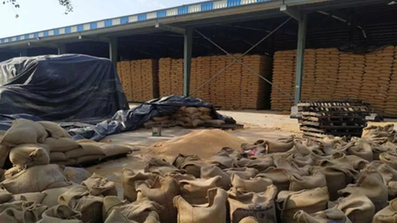 India expanding foodgrain storage capacity to match rising farm production India expanding foodgrain storage capacity to match rising farm production