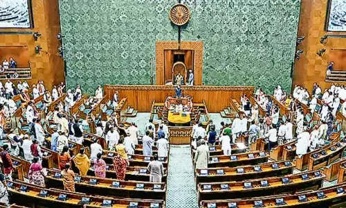 Govt mulling 2-yr tenure for parl panels