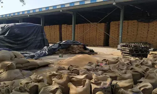 India expanding foodgrain storage capacity to match rising farm production