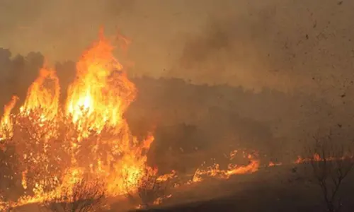 Wildfires burn over 30 per cent of Etosha National Park in Namibia