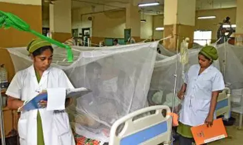 Bdesh: 4 more fatalities due to dengue raise this years death toll to 192