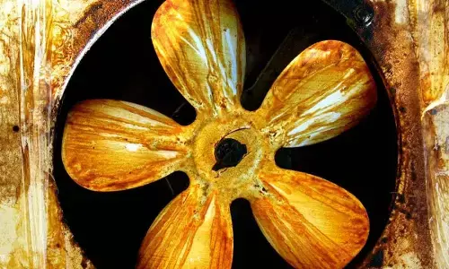 Everyday Kitchen Items That Effortlessly Clean Greasy Exhaust Fans