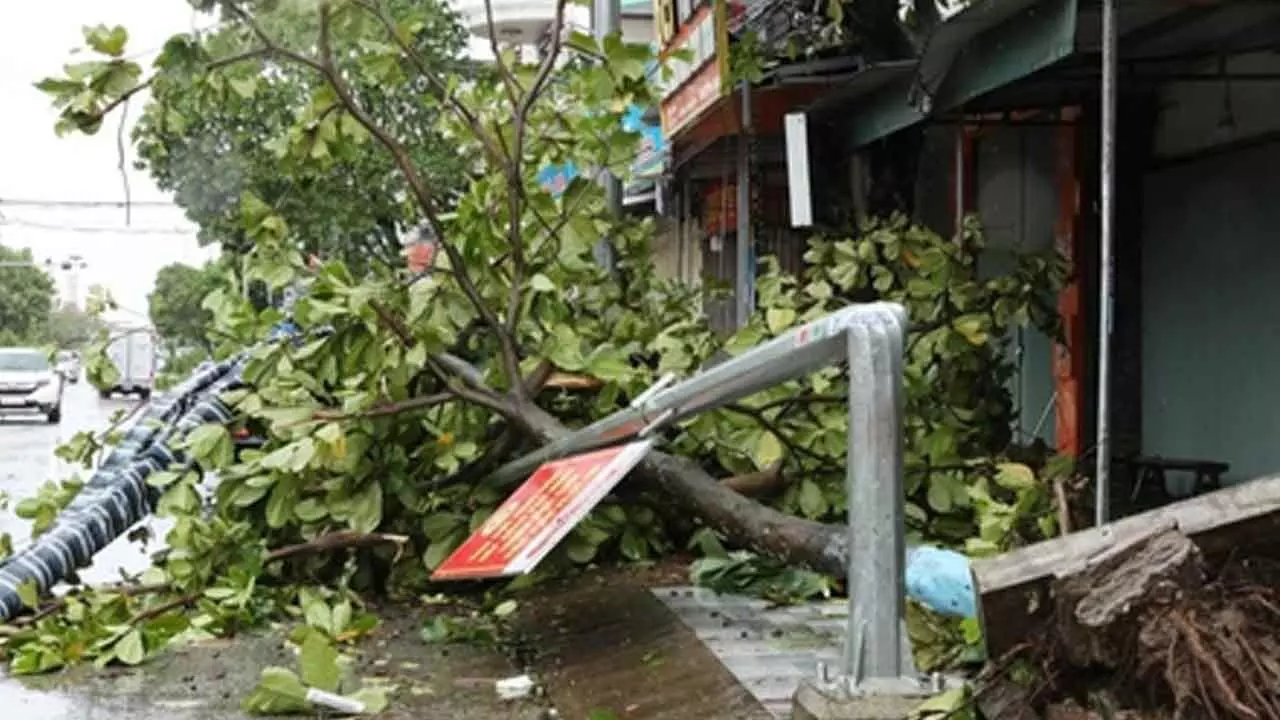 Typhoon Bualoi leaves 19 dead, 88 injured in Vietnam Typhoon Bualoi leaves 19 dead, 88 injured in Vietnam