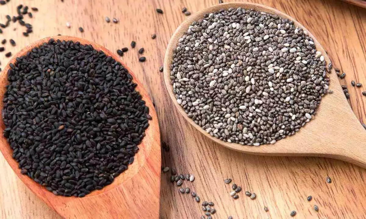 Chia Seeds vs Sabja Seeds: Which Superfood Aids Faster Weight Loss? Chia Seeds vs Sabja Seeds: Which Superfood Aids Faster Weight Loss?