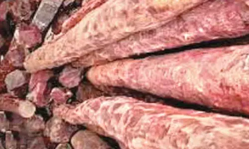 Centre sanctions Rs 82 L for conserving red sanders in AP