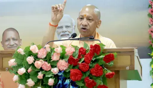 2,993 quintals of adulterated food seized, 1,155 quintals destroyed; special drive runs from October 8-17