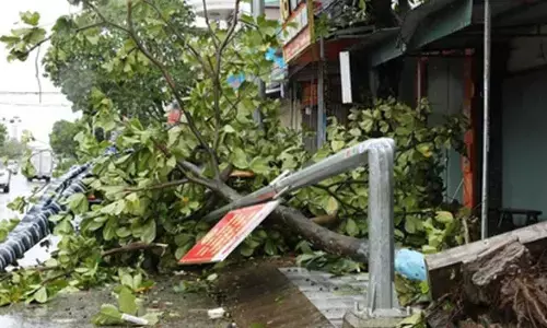 Typhoon Bualoi leaves 19 dead, 88 injured in Vietnam