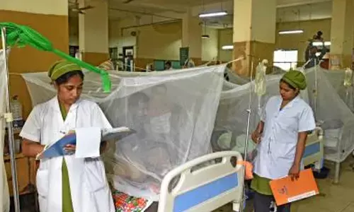 Bangladesh: Three people die due to dengue, fatalities in 2025 rise to 198