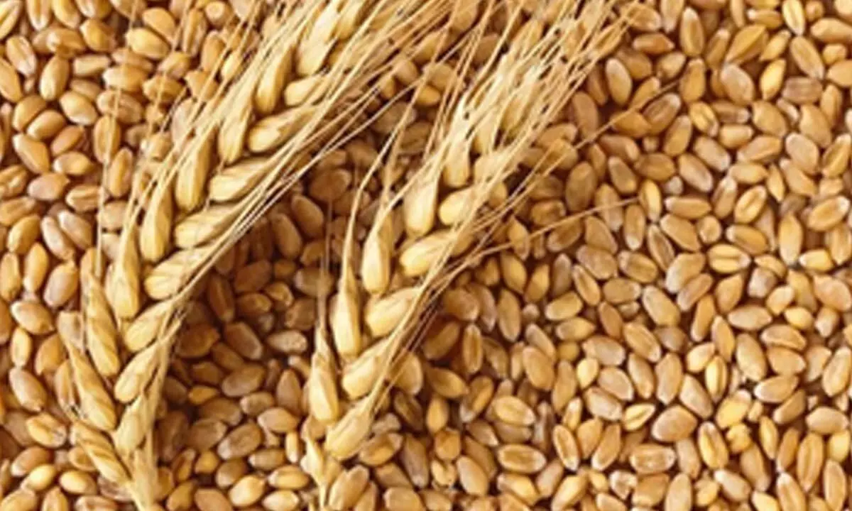 Cabinet approves hike in MSP for rabi crops