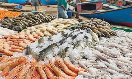 GST 2.0 a boon to fisheries, auto, pharma sectors in AP