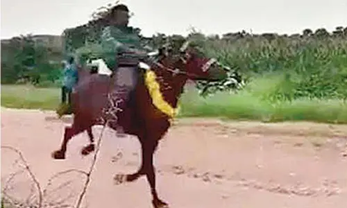Centuries-old horse parade Dasara tradition held in Maddikera