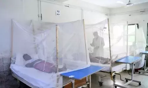 Pakistan: Islamabad reports 52 dengue cases in single day