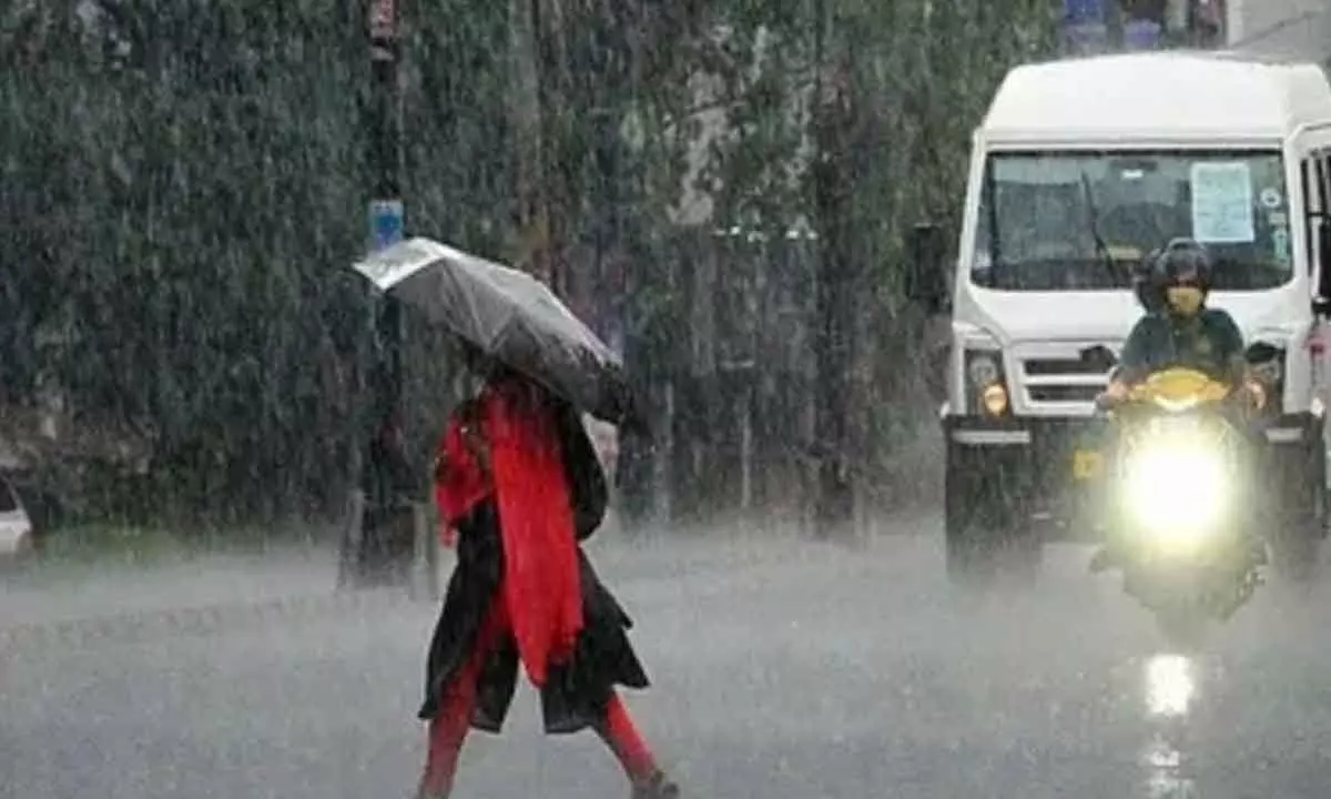 APSDMA issues heavy rain alert amid low pressure area