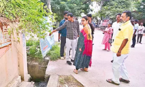 Take steps to curb stray dog’ menace