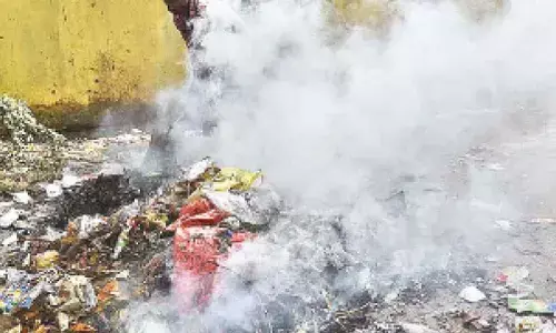 Pollution forecast predicted very poor days with 80% accuracy