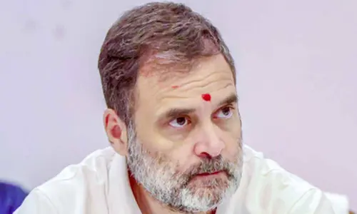 Ex-US official reacts to Rahul Gandhi, says leaders must prioritise Indian values