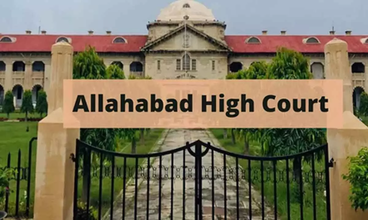 Allahabad HC refuses to stay Sambhal mosque demolition, directs petitioners to move trial court
