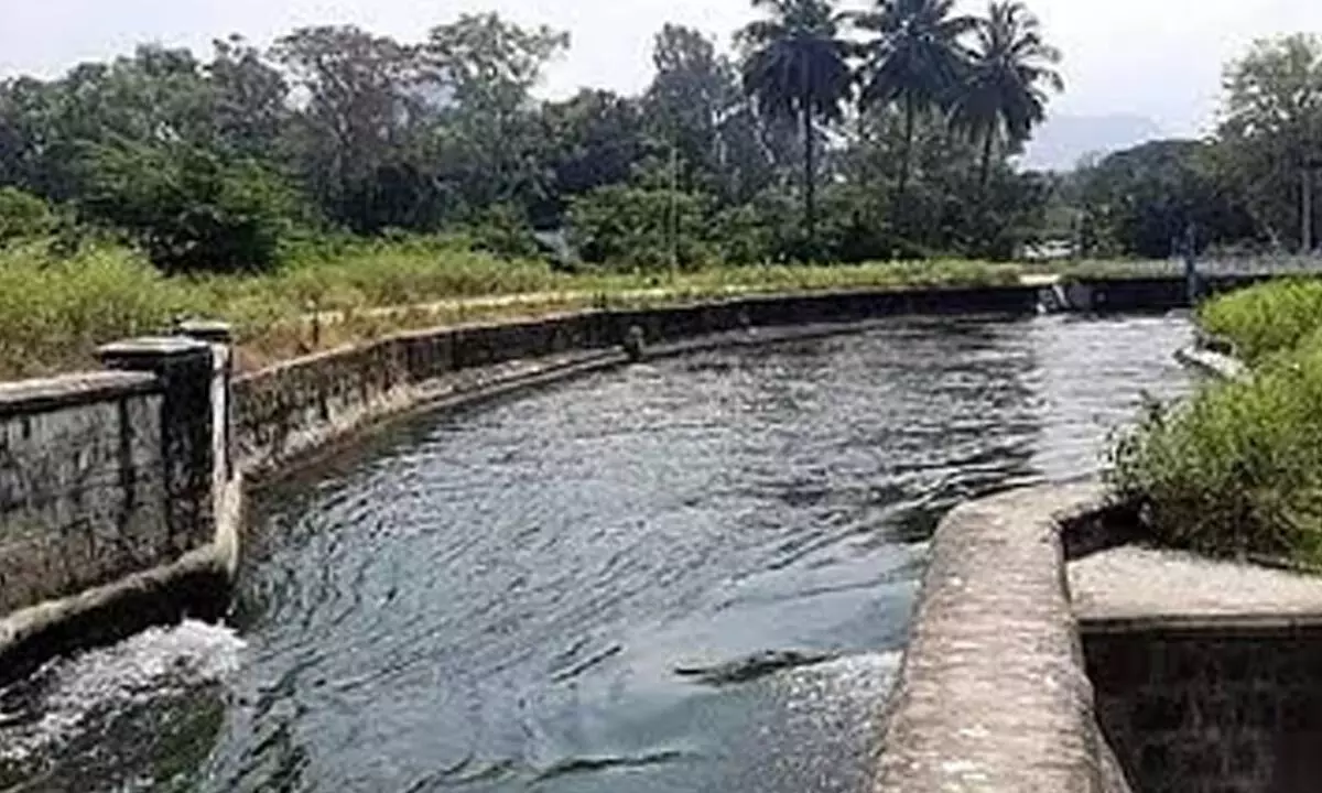 Farmers of Tiruppur await TN govts order to release Rs 10 crore for dredging PAP canals Farmers of Tiruppur await TN govts order to release Rs 10 crore for dredging PAP canals