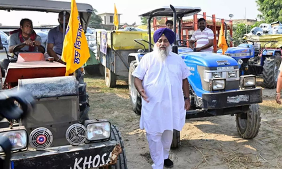 Won’t allow AAP to sell govt land on Delhi leaders direction: Sukhbir Badal Won’t allow AAP to sell govt land on Delhi leaders direction: Sukhbir Badal