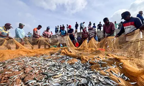India world’s second-largest fish producer, contributing 8 pc to global output