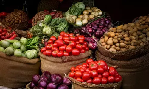 Centre releases discussion paper 2.0 on treatment of free PDS items in CPI compilation