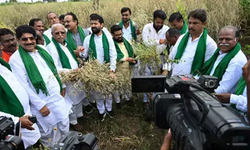 Conduct immediate crop damage survey, provide compensation: Karnataka BJP to Siddaramaiah govt