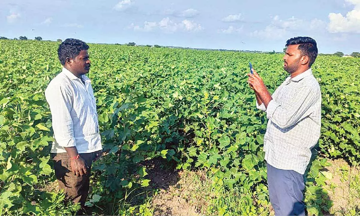 E-Crop registration deadline extended till Oct-endE-Crop registration deadline extended till Oct-end