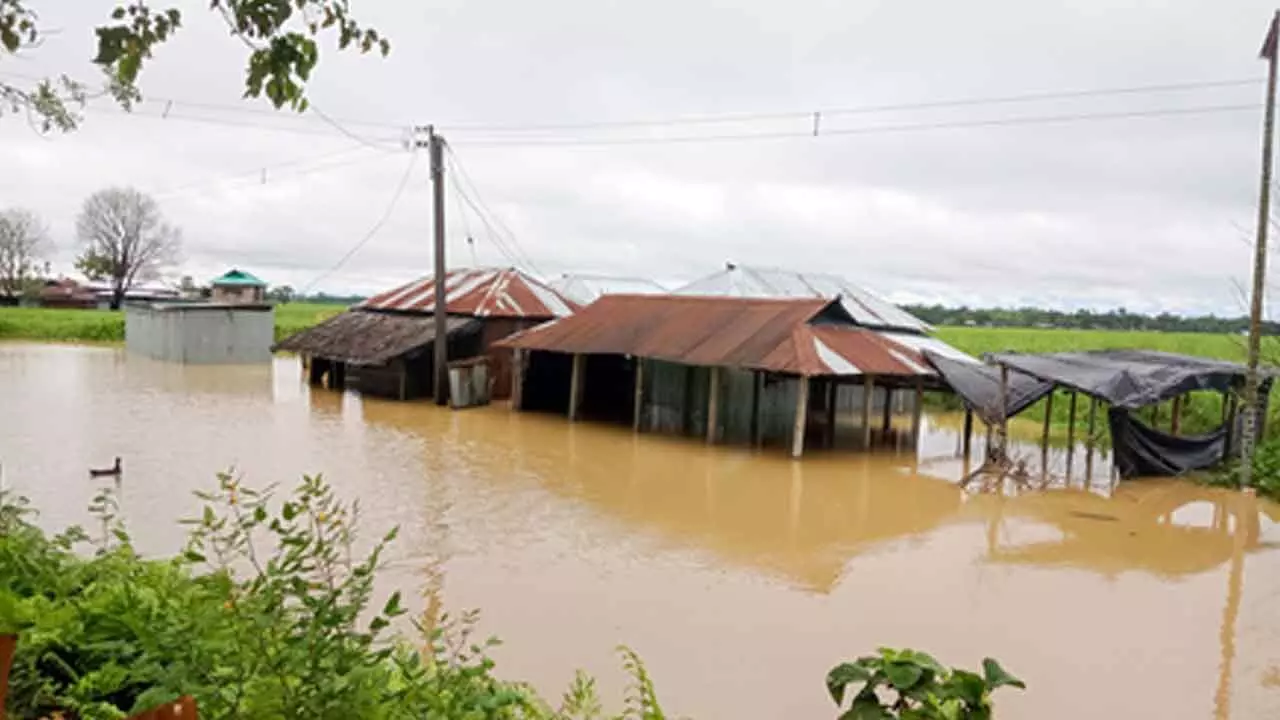 Vice President Radhakrishnan condoles deaths in Darjeeling rain, landslides Vice President Radhakrishnan condoles deaths in Darjeeling rain, landslides