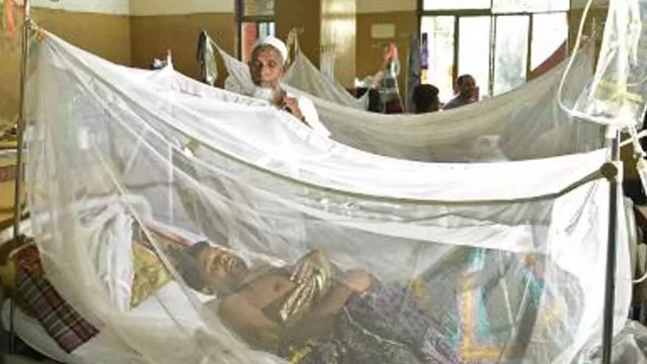 Bdesh reports 9 more fatalities due to dengue; death toll in 2025 rises to 212 Bdesh reports 9 more fatalities due to dengue; death toll in 2025 rises to 212