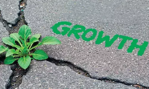 Sustainability: The Only Way Forward