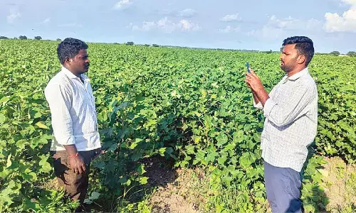 E-Crop registration deadline extended till Oct-endE-Crop registration deadline extended till Oct-end