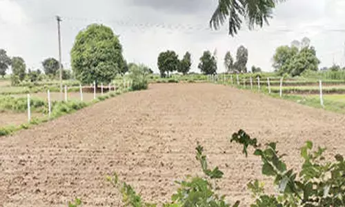 Housing Board land auction next week