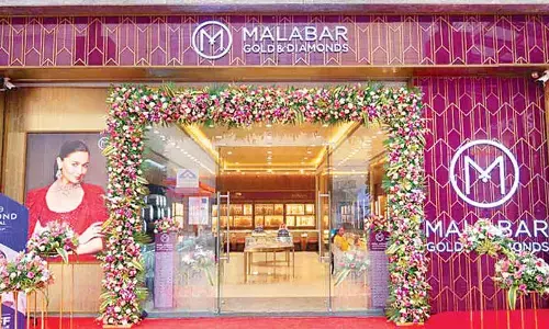 Bombay HC orders removal of defamatory content against Malabar