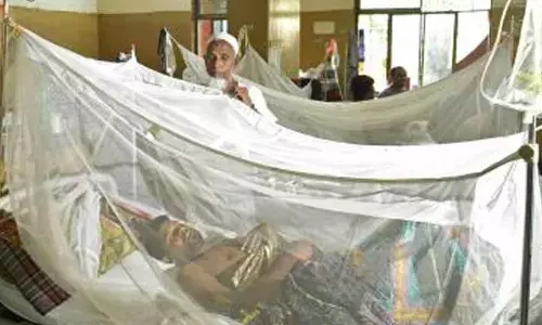 Bdesh reports 9 more fatalities due to dengue; death toll in 2025 rises to 212