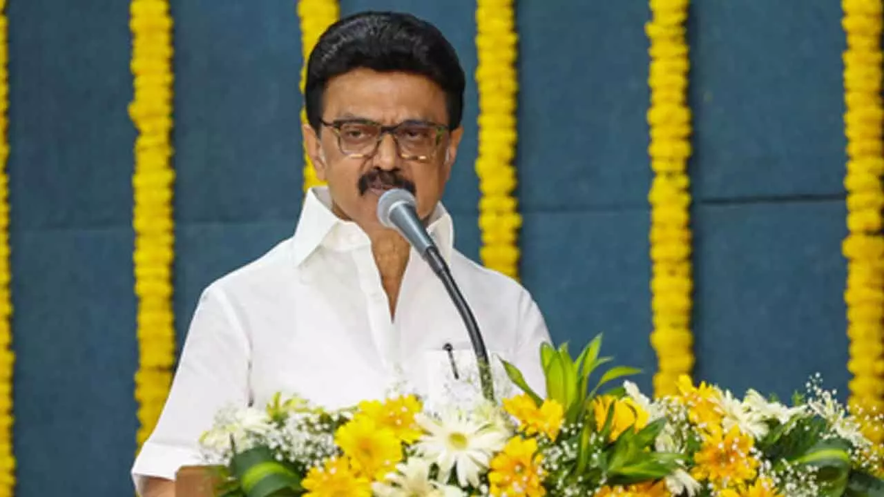 CM Stalin announces 20 pc bonus for Public Sector employees in Tamil Nadu CM Stalin announces 20 pc bonus for Public Sector employees in Tamil Nadu