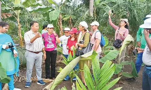 Int’l team explores natural farming practices