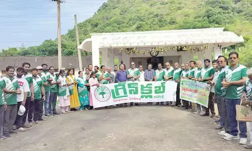 Seed balls at temple hills aim to improve green cover