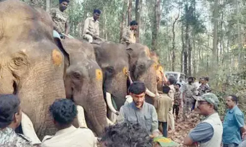 Elephant Task Force with 48 personnel sanctioned for Dakshina Kannada: Minister Khandre