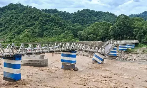 Tea sector in Bengals northern region envisages over Rs 100cr losses due to rain, landslides