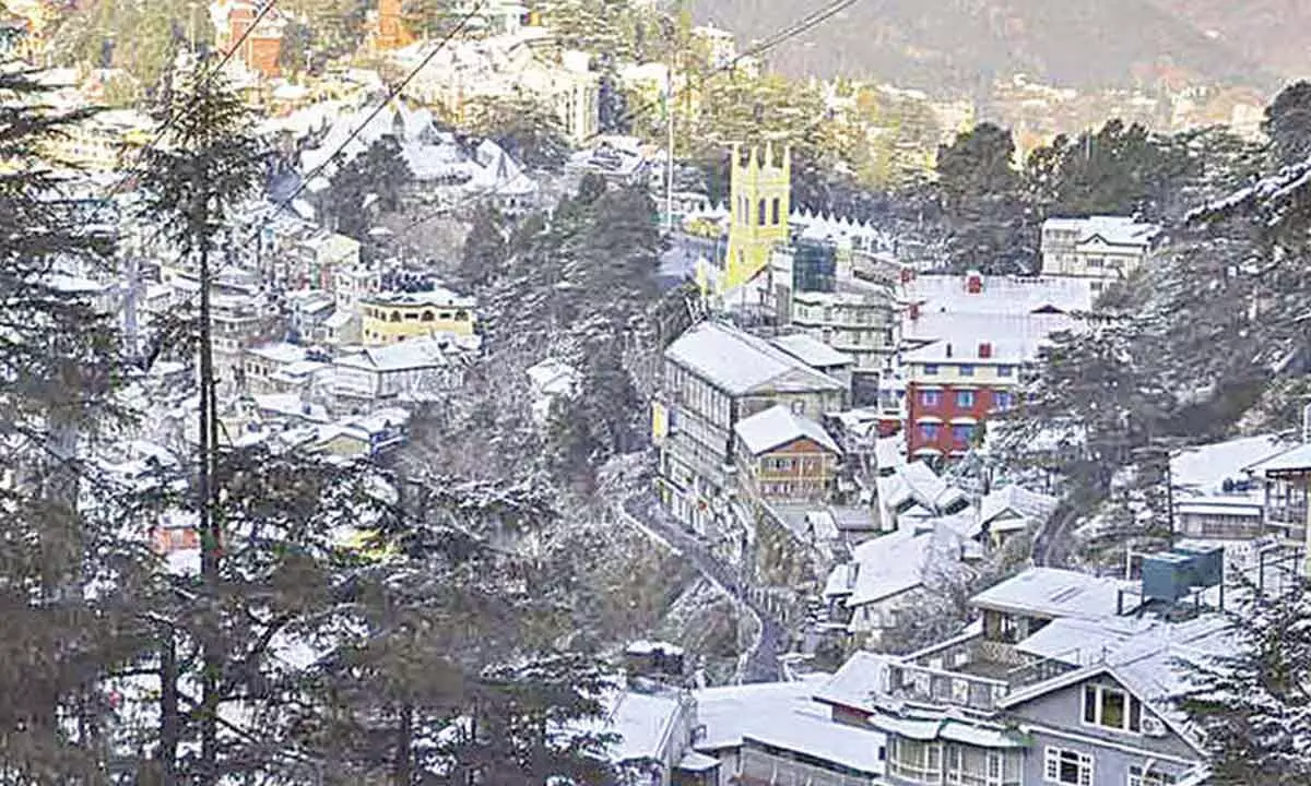 Fresh snowfall in HP