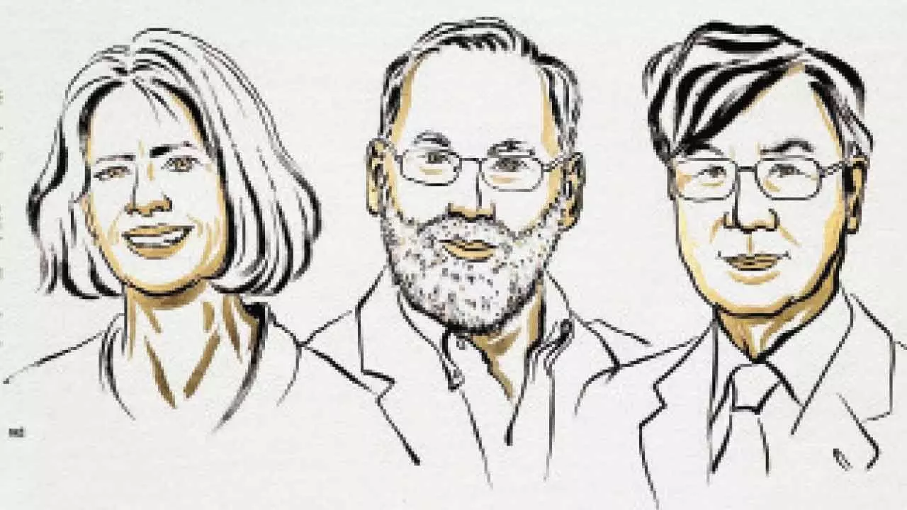 Medicine Nobel awarded to trio for work on human immune system Medicine Nobel awarded to trio for work on human immune system