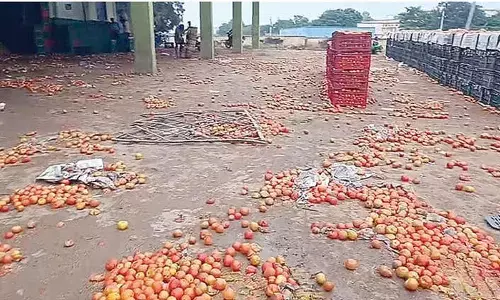 Atchanna vows to protect tomato farmers from losses