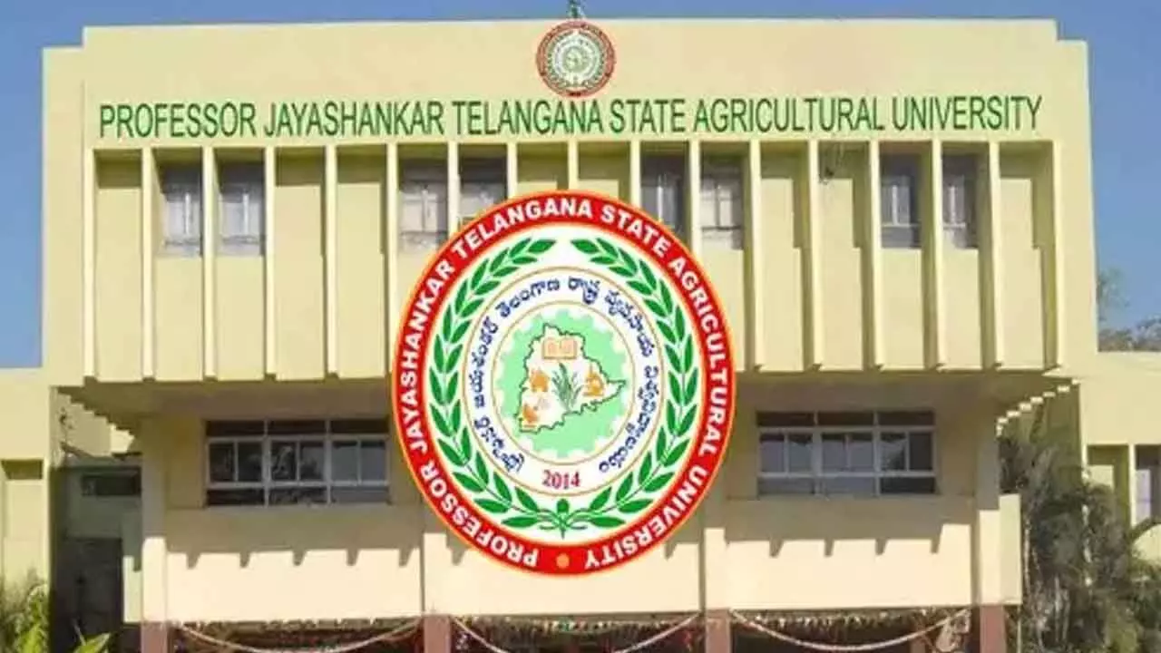 Walk-in counseling for dual degree prog at PJTAU tomorrow