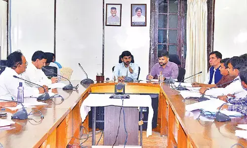 Collector directs resolution of land issues for solar project