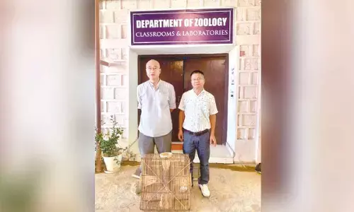 Researchers developes cost-effective, eco-friendly fishing trap for sustainable hill-stream fishing