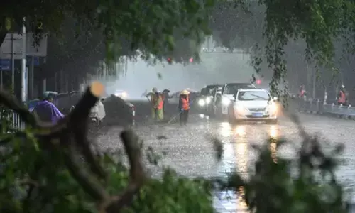 Typhoon Matmo leaves eight dead in Vietnam