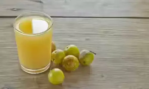 Amla Benefits for Skin and Hair | Natural Tips for Healthy Hair & Glowing Skin