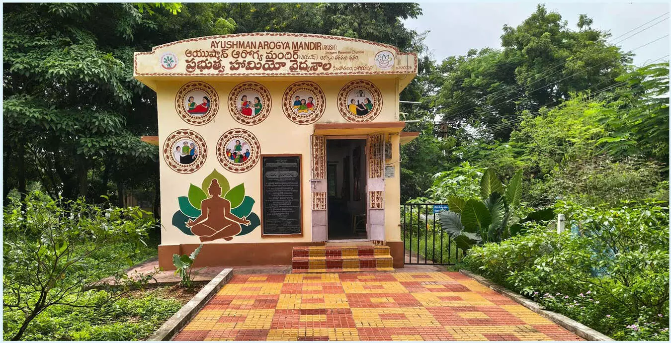 Alternative to allopathy disappoints homeo patients Alternative to allopathy disappoints homeo patients