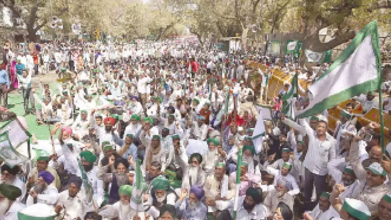 Bus marshals protest at Jantar Mantar, demand reinstatement
