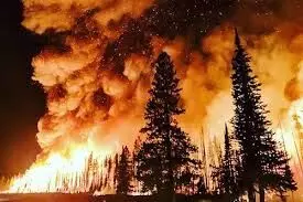 Florida man arrested in connection with massive Palisades Fire Florida man arrested in connection with massive Palisades Fire